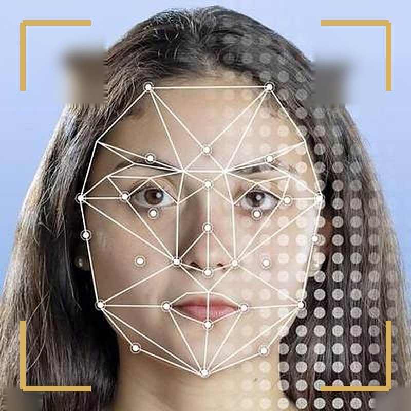 A face with measurement points marked across it